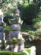 写真14