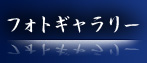 tHgM[